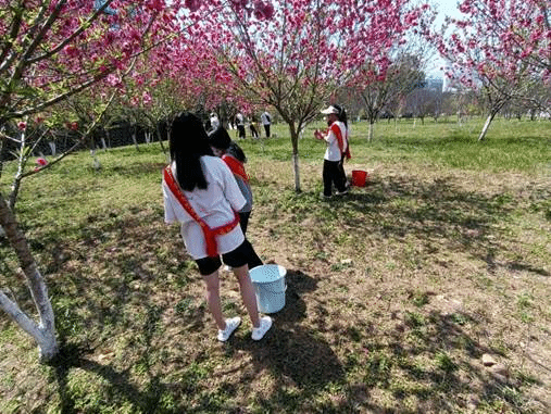 说明: C:\Users\Administrator\Desktop\1db11334acf93d4a808e91a66aaa8da.jpg